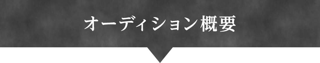 オーディション概要
